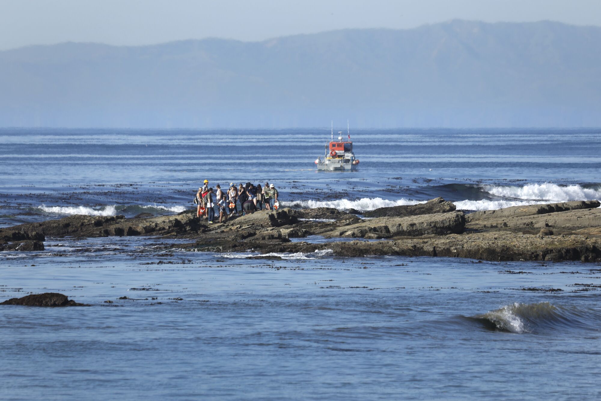 Dr. Tonya Kane leads a group of UCLA students on a field and marine biology excursion at Cabrillo Beach.