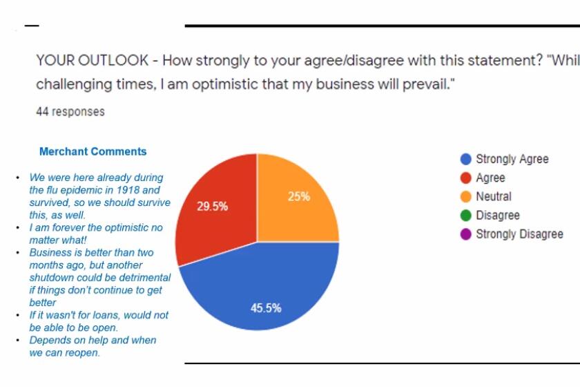 A slide representing the findings of a La Jolla Village Merchants Association survey of local businesses.