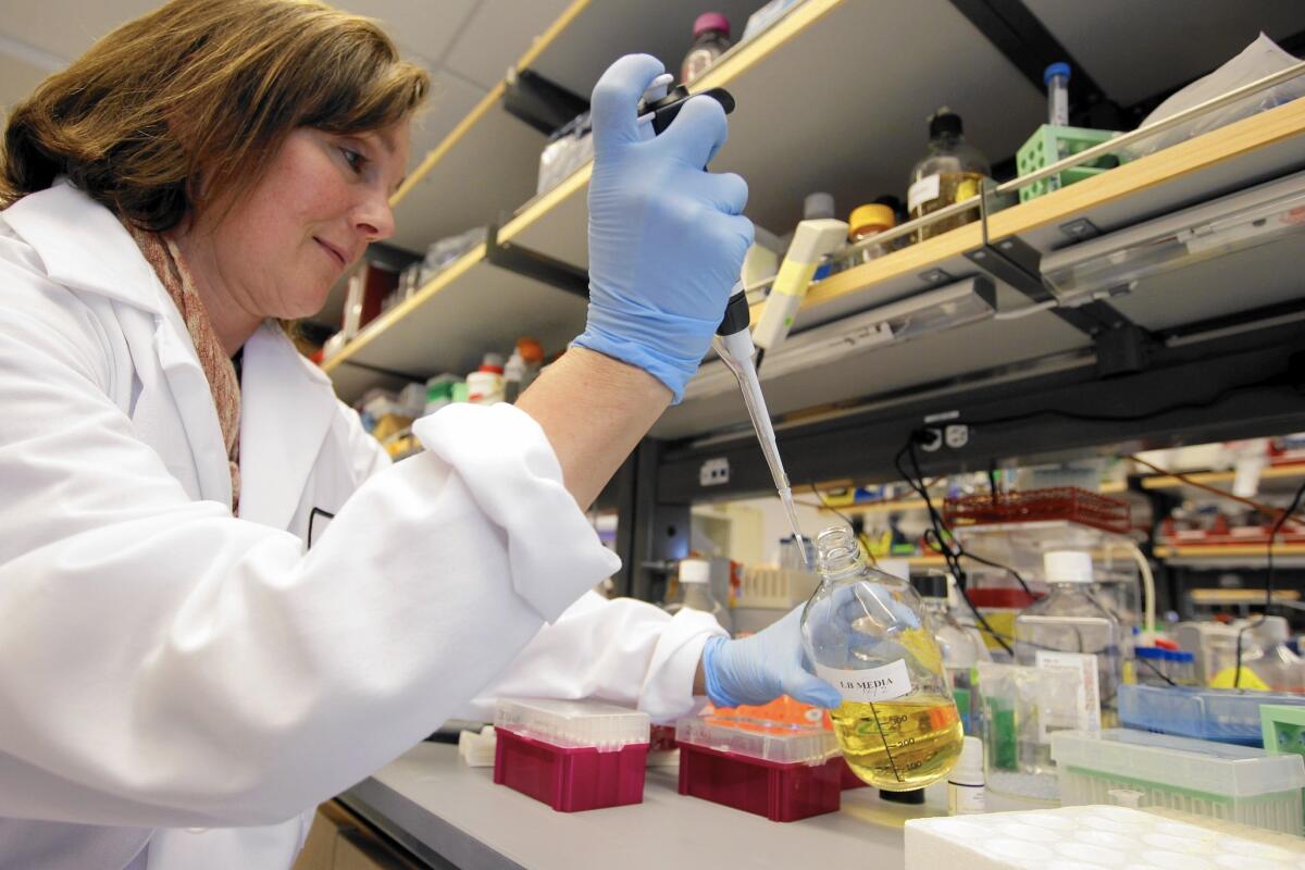 Researcher Terry Storm works in a lab at the Lorry I. Lokey Stem Cell Research Building at Stanford University in 2012.