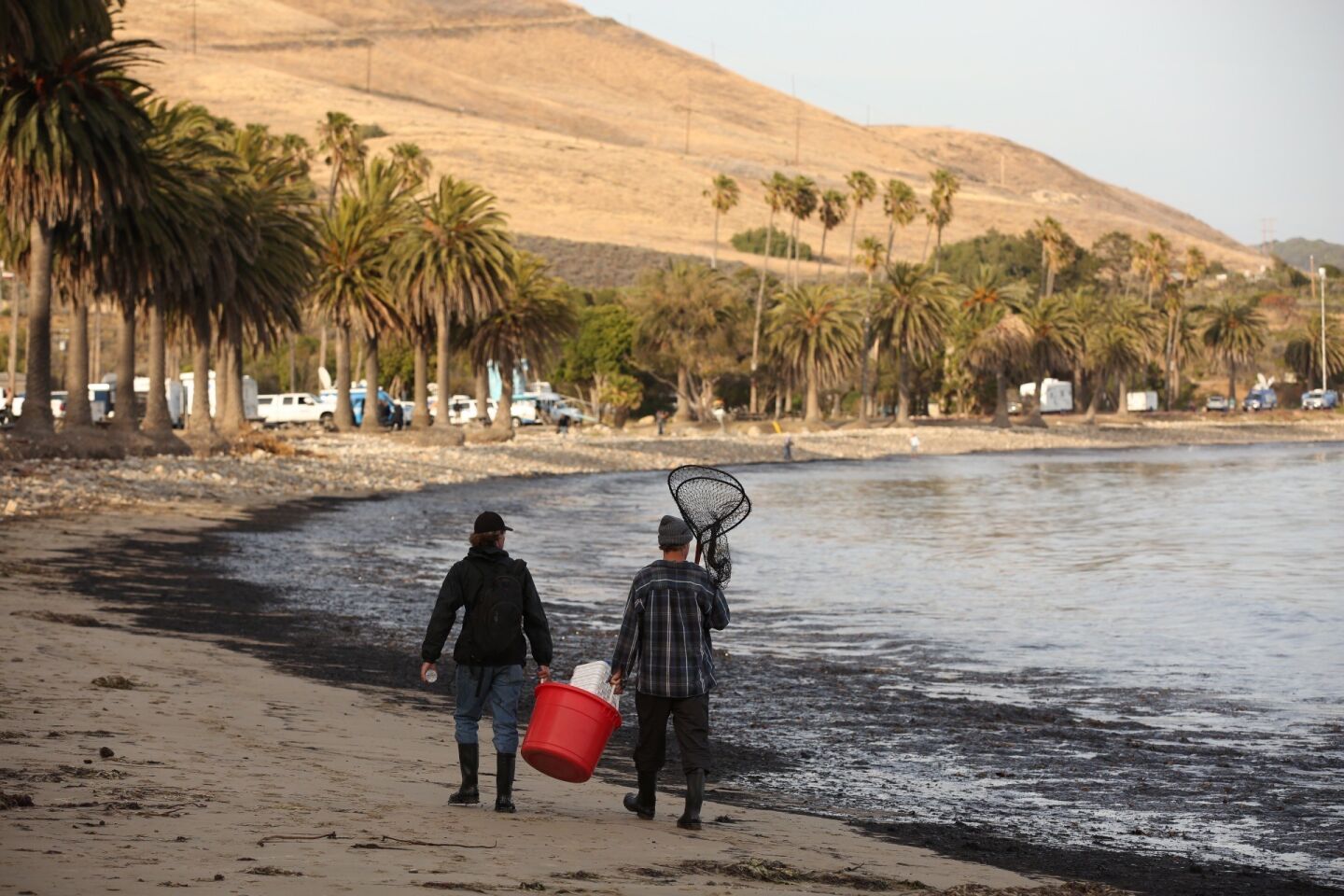 Morgan Miller, left, and Josh Marsh look for wildlife to rescue along the coast at Refugio State Beach.
