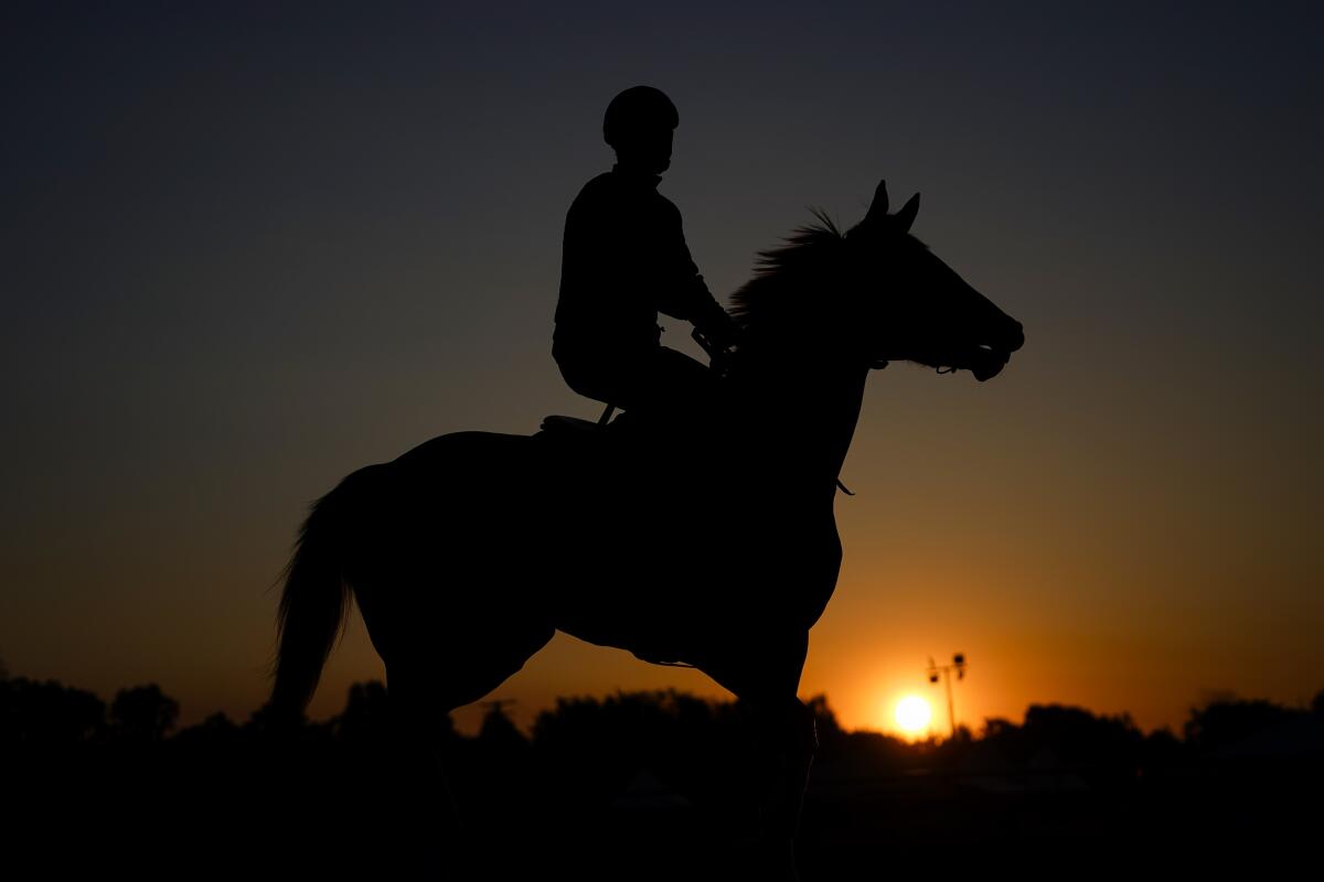 An outrider walks a horse on the track during a workout at Pimlico Race Course on Thursday.