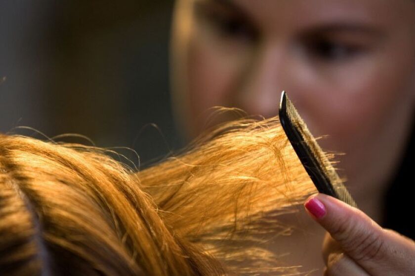 Lice may be an embarrassing nuisance, but they’re not a health problem.