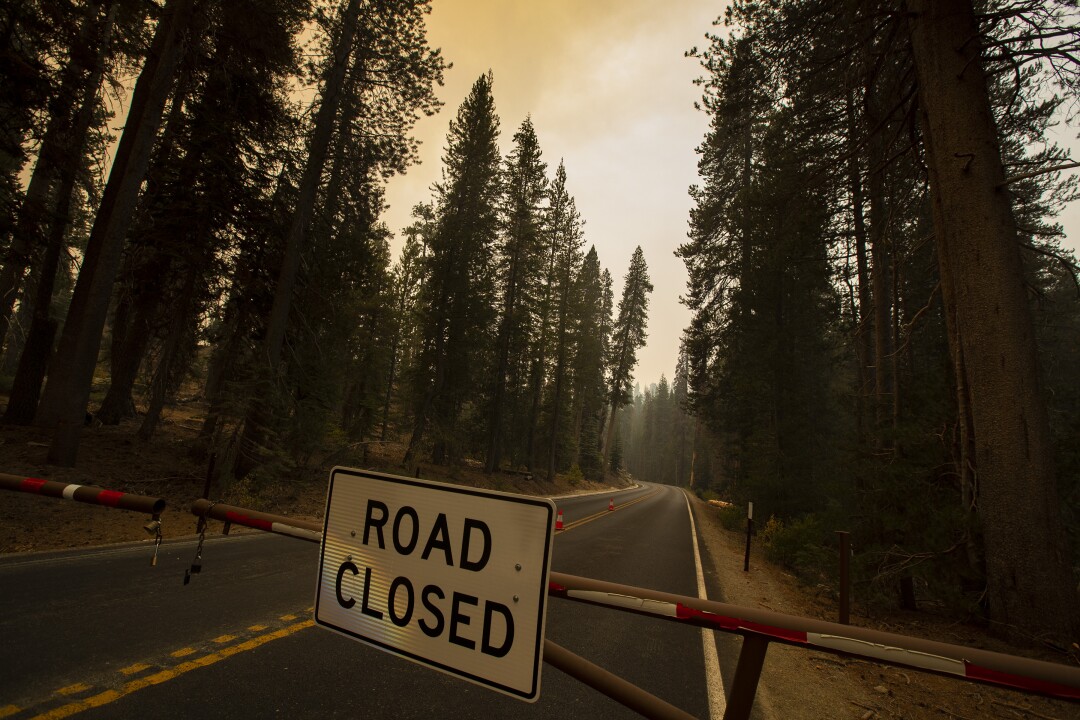 A road closed sign on a gate across a road with trees on either side