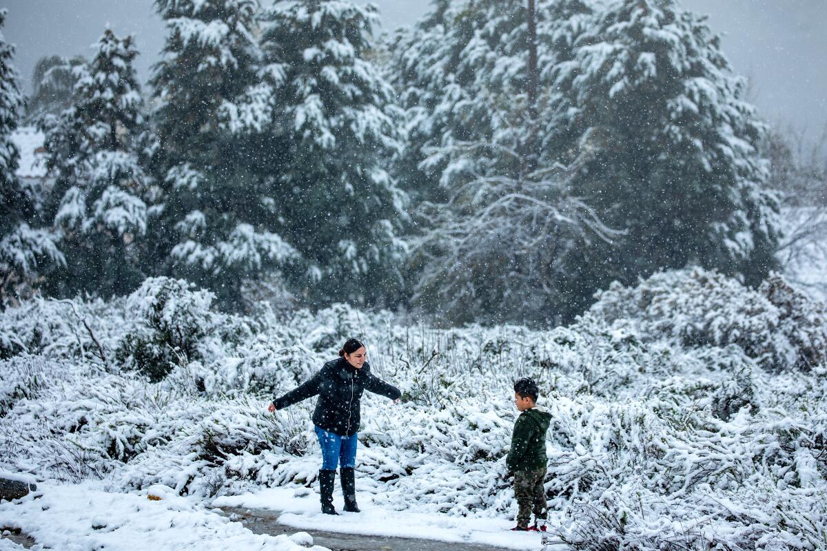 A woman and boy stand in snow in front of snow-capped trees.