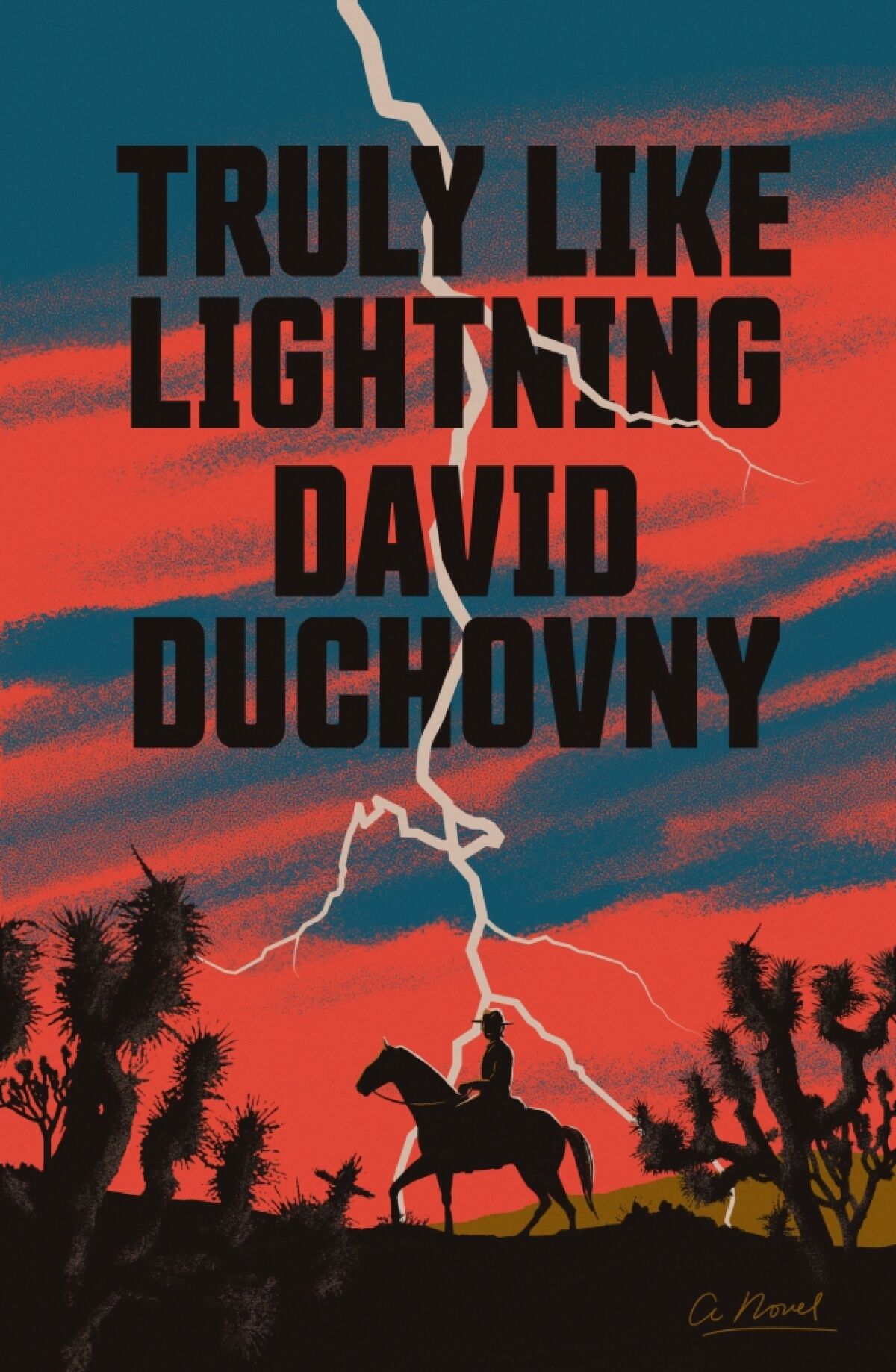 A book jacket for David Duchovny's "Truly Like Lightning." 