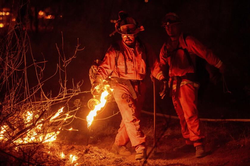 An inmate firefighter from the Trinity River Conservation Camp uses a drip torch to slow the Fawn Fire burning north of Redding, Calif. in Shasta County, on Thursday, Sept. 23, 2021. (AP Photo/Ethan Swope)