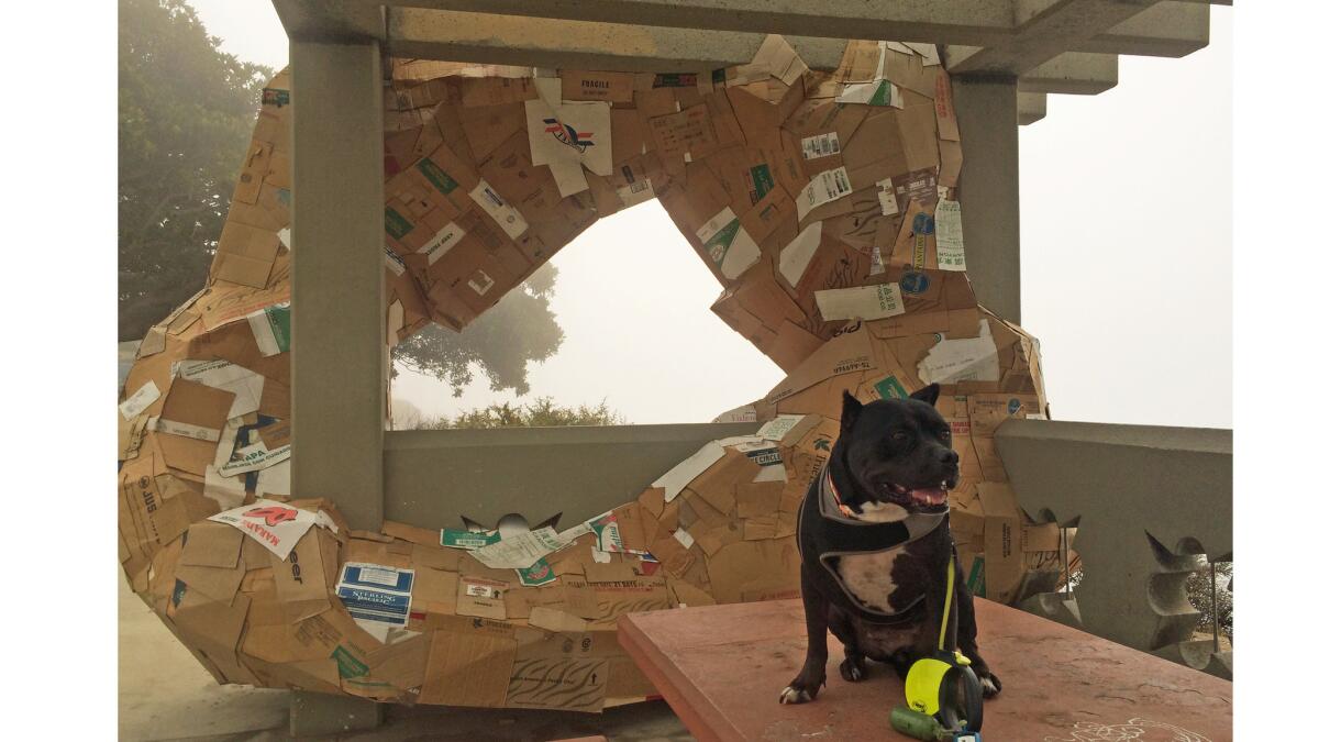 Obligatory photo with dog: Bonnie the American Staffordshire Terrier, research assistant and sculpture sniffer, poses before Michael Parker's "The Ides."