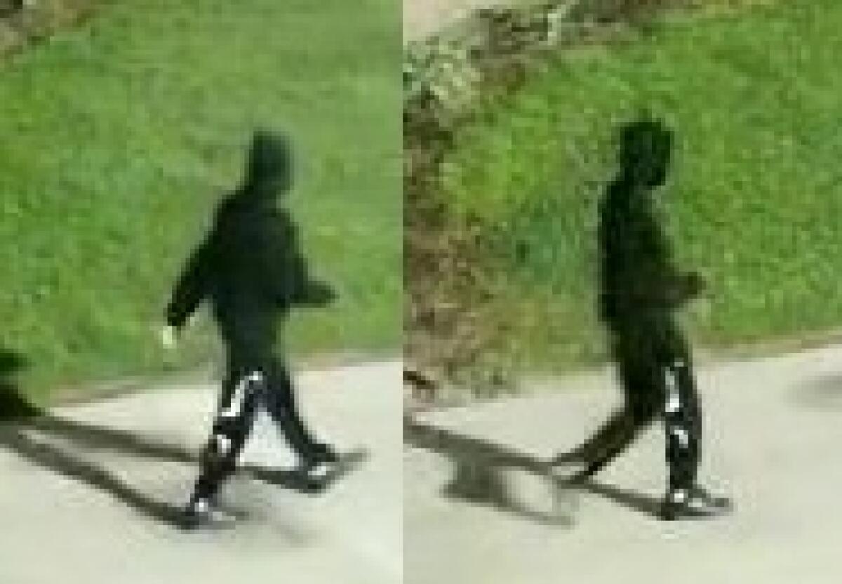 San Diego police say the man seen in these images sexually battered a woman early in the morning Aug. 17 in Lincoln Park.