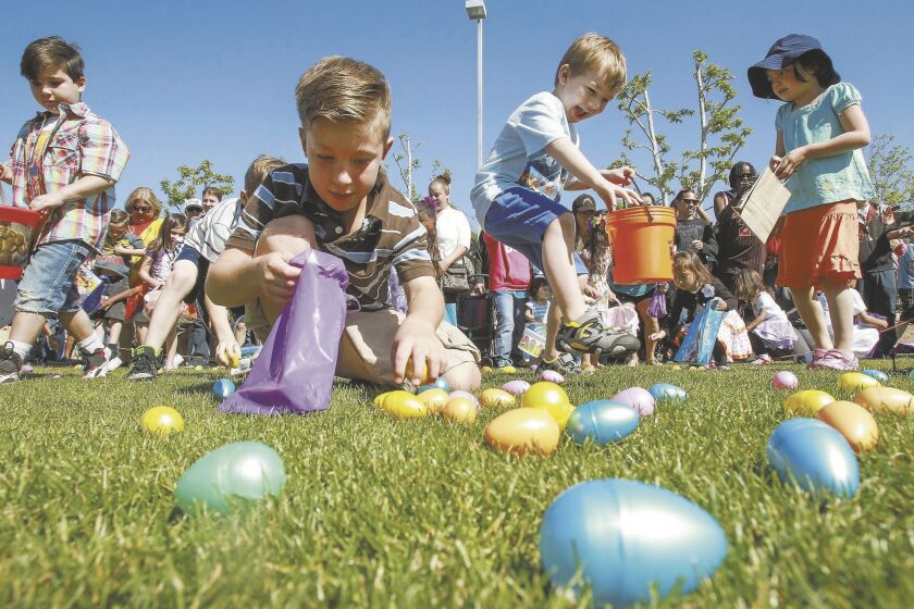 At the sound of a horn, children race to find as many Easter eggs as they can.