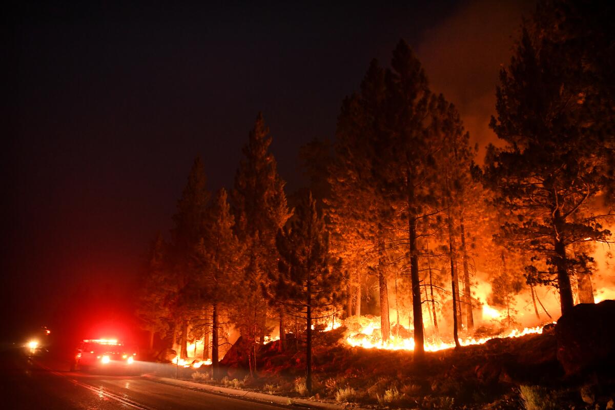 An emergency vehicle sits in the road next to burning trees.