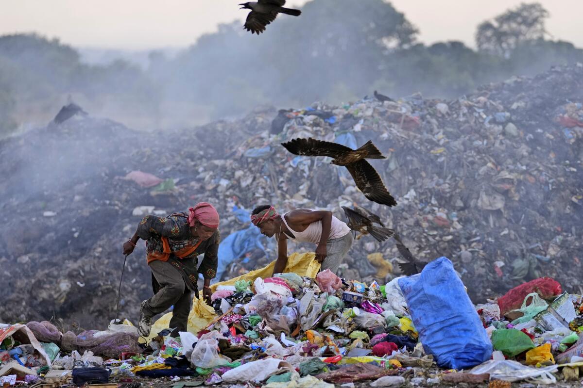 Birds circle over people searching through items atop a pile of garbage.