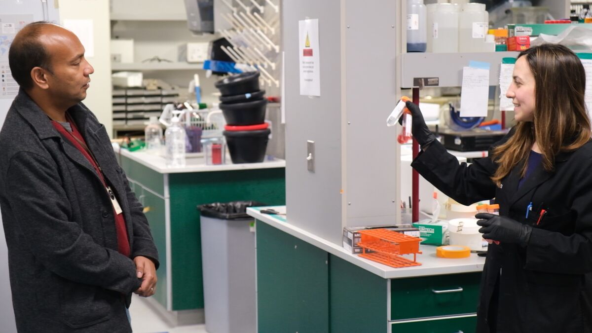 Dr. Sumit Chanda and Dr. Laura Martin-Sancho practice social distancing in their lab at the Sanford Burnham Prebys Medical Discovery Institute in La Jolla.