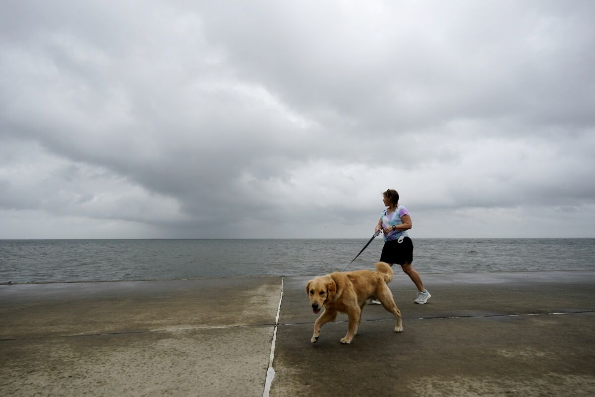 A woman walks a dog along a seawall.