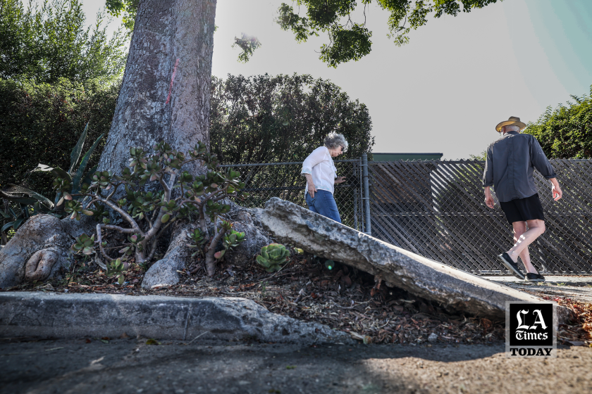 LA Times Today: L.A.’s cracked, ruptured sidewalks are a scandal. Where is City Hall?