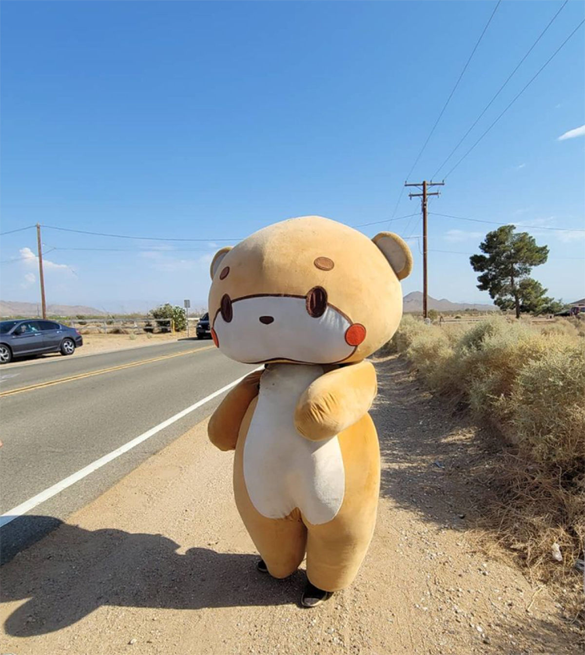 A person in a bear costume stands on the unpaved shoulder of a remote highway