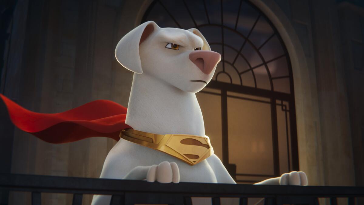 10 Animated Movies Like Paws Of Fury: The Legend Of Hank