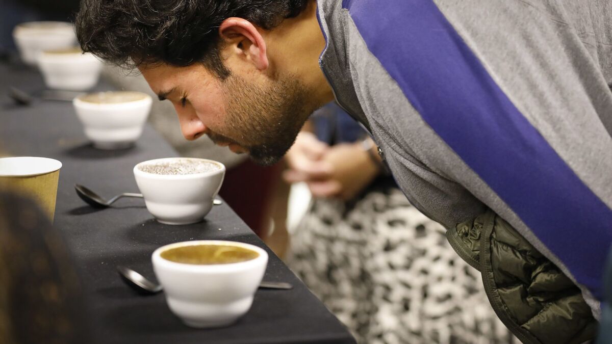 Alex Holsheimer of Fallbrook inhales the smell of fresh-brewed Southern California-grown Cuicateco coffee at a cupping event Saturday at Bird Rock Coffee Roasters in Mission Valley.