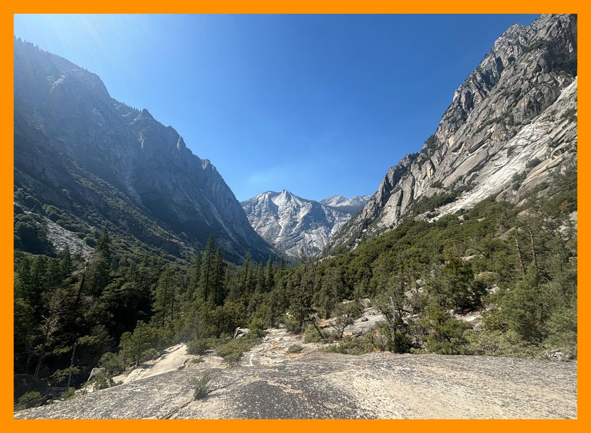 A tree filled valley surrounded by rocky mountains and bright blue sky.