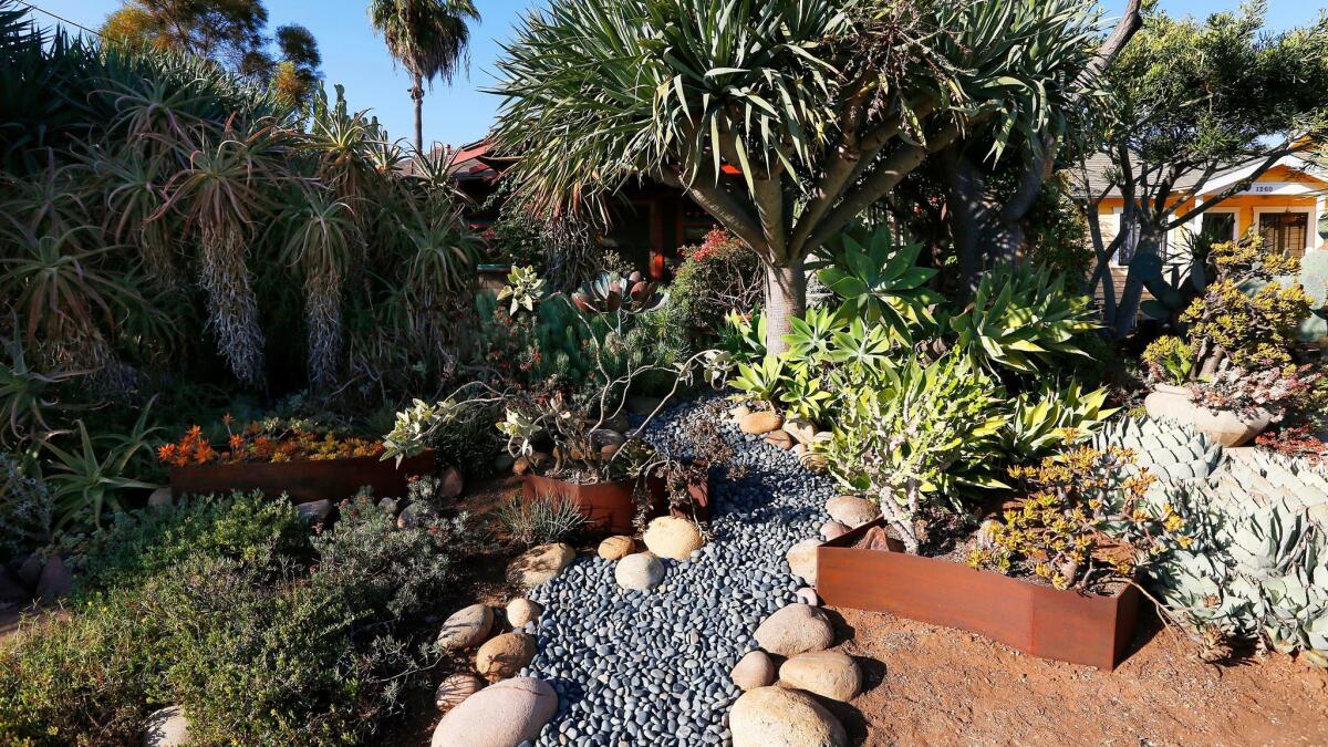 The front yard with its dry creek bed and drought-tolerant plants earned recognition from the San Diego Horticultural Society.