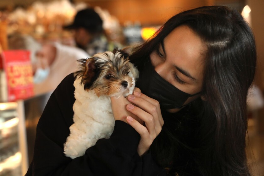 A woman cuddles her dog while shopping at the Erewhon in Studio City.