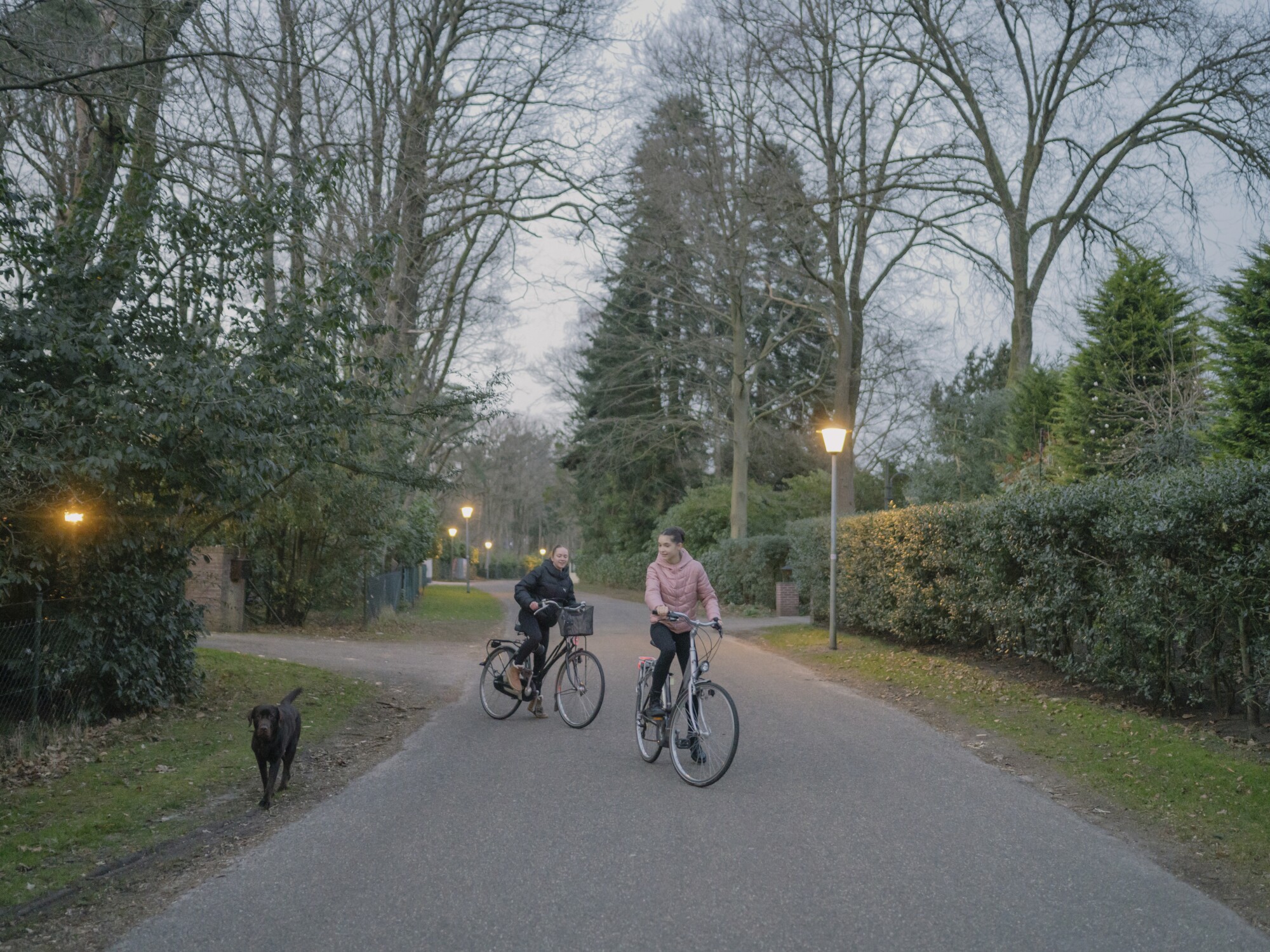 Two girls ride bikes down a street with a black dog walking next to them 