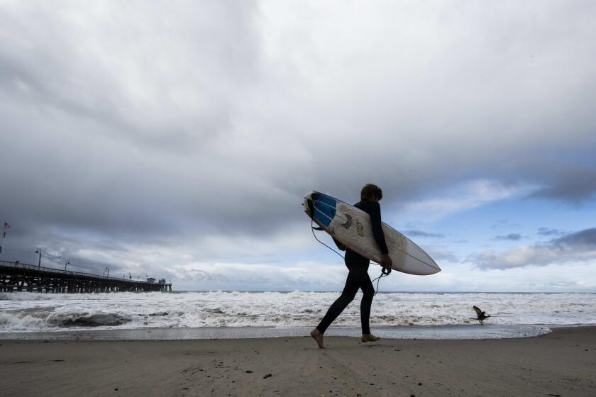 FILE - A surfer heads to the water as storms move through the area in San Clemente, Calif., Dec. 12, 2022. A two-mile (3.2-km) stretch of the popular Southern California beach was closed for the Memorial Day holiday after a shark bumped a surfer off his board the night before, authorities said. The 24-hour closure at San Clemente was announced after the surfer came out of the water and reported the shark’s aggressive behavior to lifeguards Sunday evening, May 26, 2024. (Paul Bersebach/The Orange County Register via AP, File)