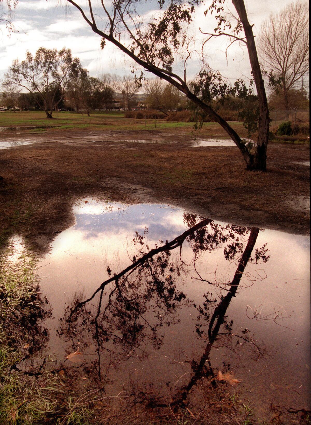 The Madrona Marsh in Torrance will be closed until further notice as a health precaution.