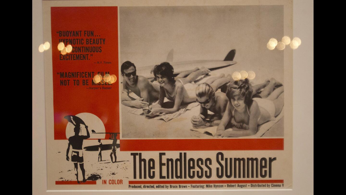 Endless Summer Turns 50 with Celebration and Book Launch