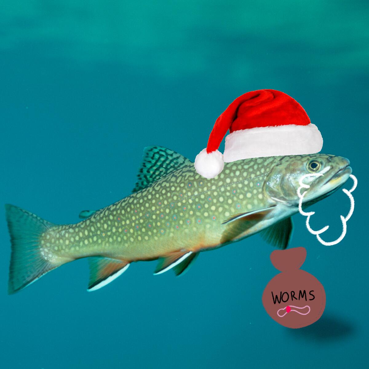 A fish with a Santa hat and a bag labeled "worms"