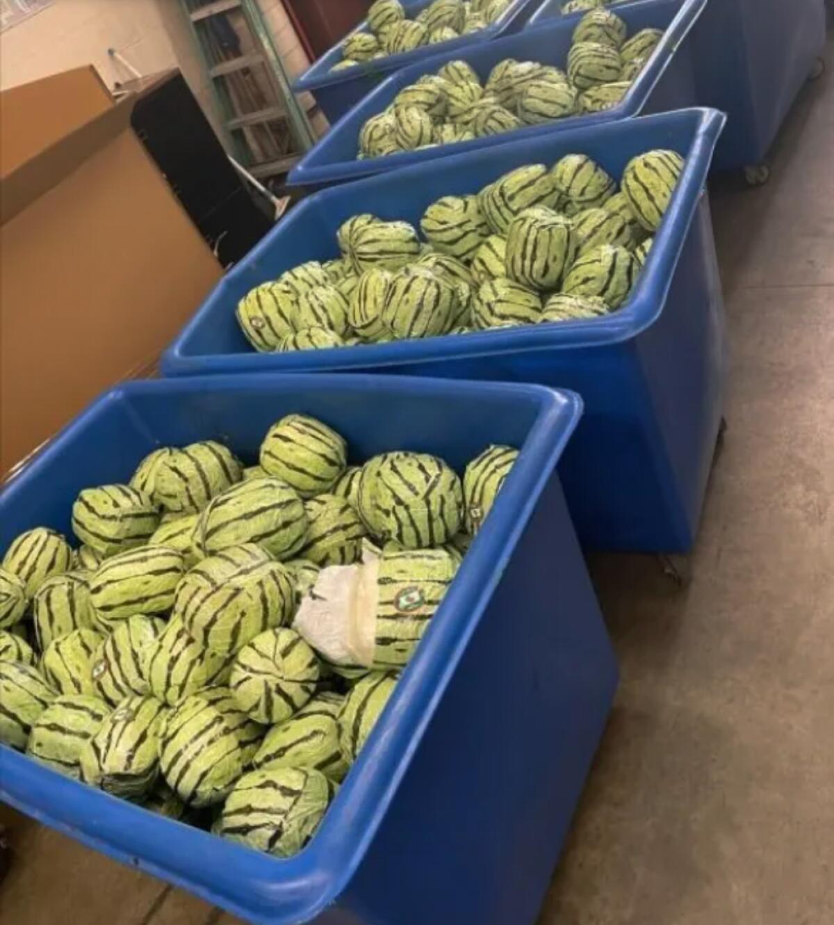 Four tubs of methamphetamine, disguised as watermelons.