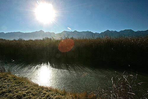 The sun glistens off the icy surface of a pond along the course of the Lower Owens River near the Eastern Sierra Nevada community of Independence. An ambitious, court-ordered restoration project on 62 miles of the Lower Owens River seeks to revitalize wetlands and natural habitat that existed before much of the river's water was diverted to supply the needs of Los Angeles.