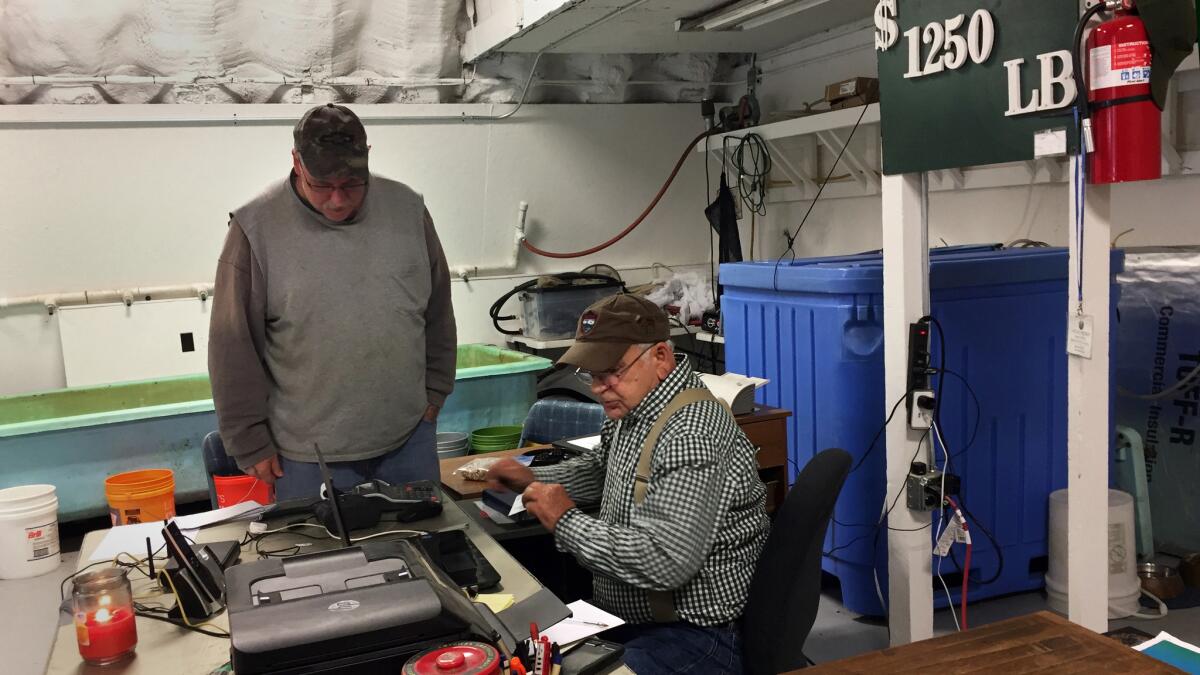 William Sheldon, 71, is revered as the father of Maine’s modern eel trade.