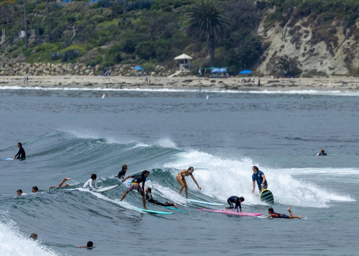 Surfers ride a wave as others float in the ocean nearby, with people on a beach in the background