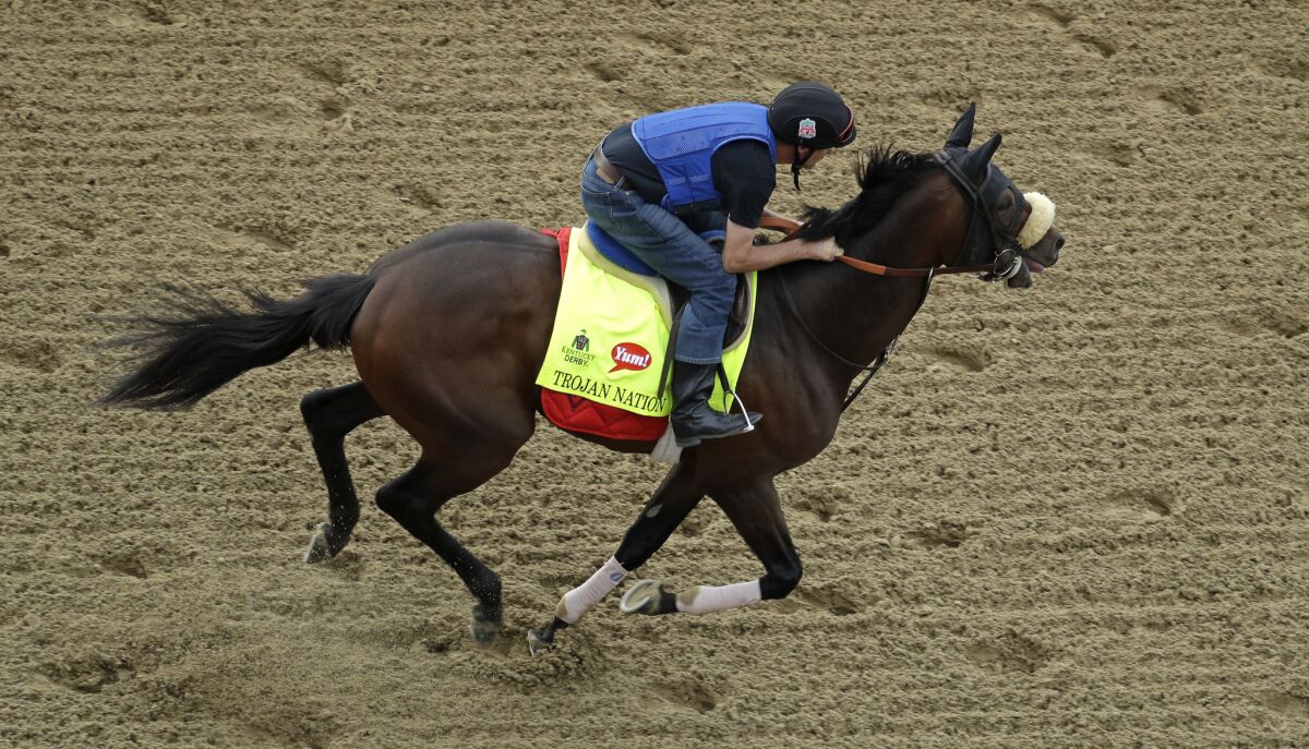 Exercise rider Andy Durnin rides Kentucky Derby hopeful Trojan Nation during a workout at Churchill Downs on Wednesday.