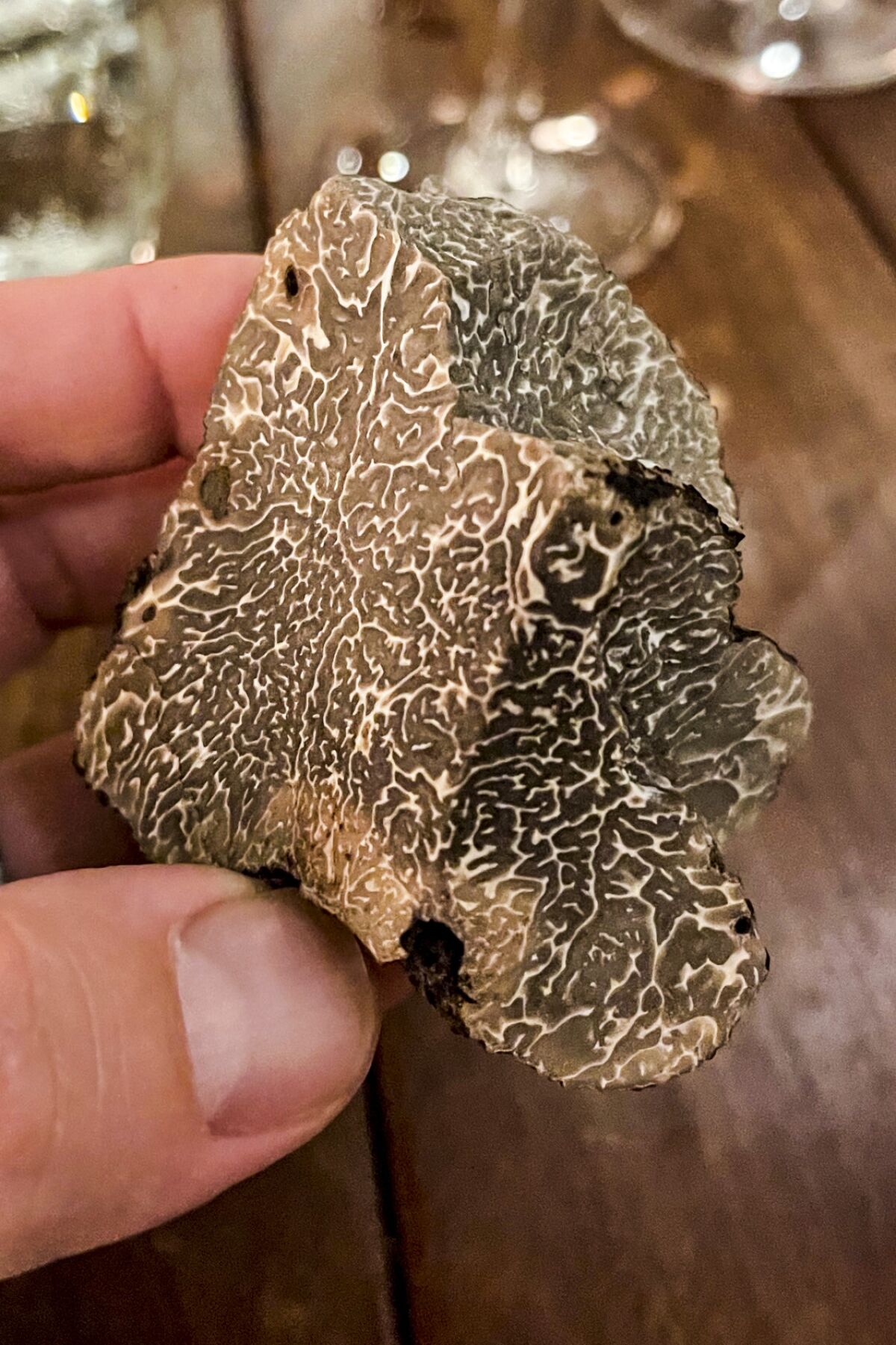 A hand holds a piece of black truffle.