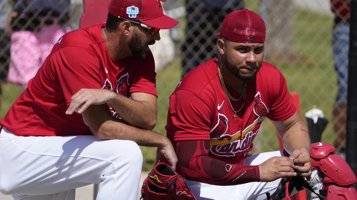 St. Louis Cardinals to expand front office roles in next three years
