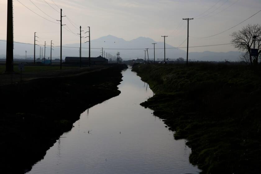 STOCKTON, CA - Feb. 25, 2016: A waterway along Route 4 in the Sacramento-San Joaquin Delta, right outside of Stockton. (Photo by Katie Falkenberg / Los Angeles Times)