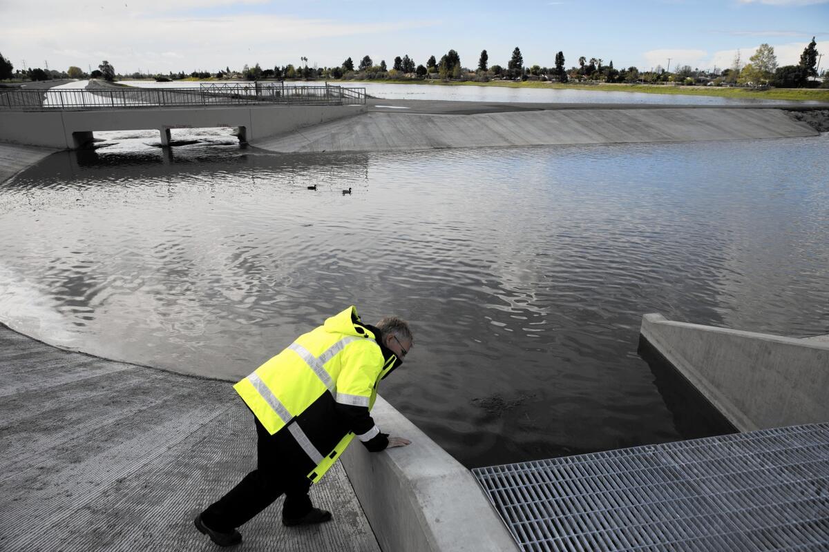 Steven Frasher, public information officer for the L.A. County Department of Public Works, watches as water from the San Gabriel River flows into a spreading ground in Pico Rivera — 90 acres of porous soil that can suck up 75 cubic feet of water every second to be stored in the aquifer below.