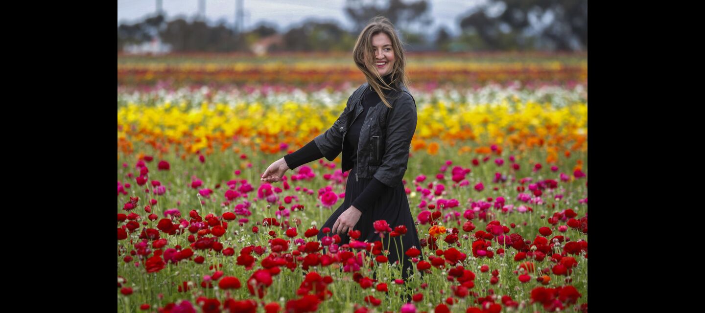 Eva Thomas, from Los Angeles, quickly dashes in and out of ranunculus flowers so that her sister Leonie can take pictures.
