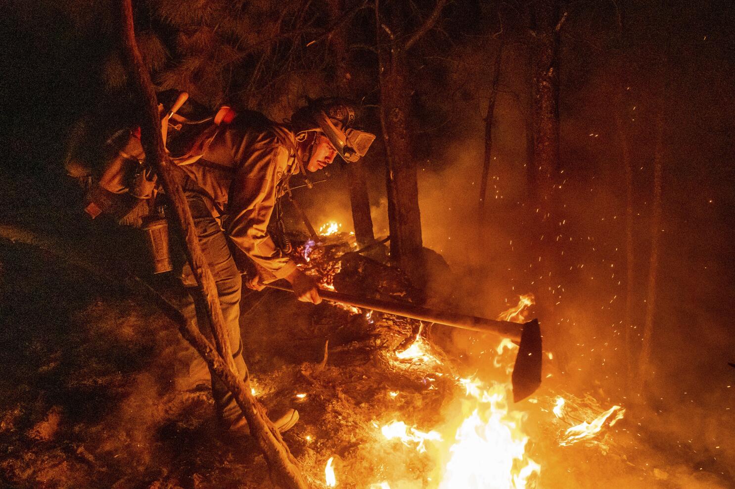 wildland firefighters in action