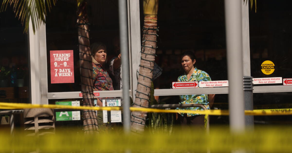 Photo: latimes.com Los Angeles, CA - September 03, 2026: Trader Joe's employees look out at the scene of a car accident at a one of the grocery