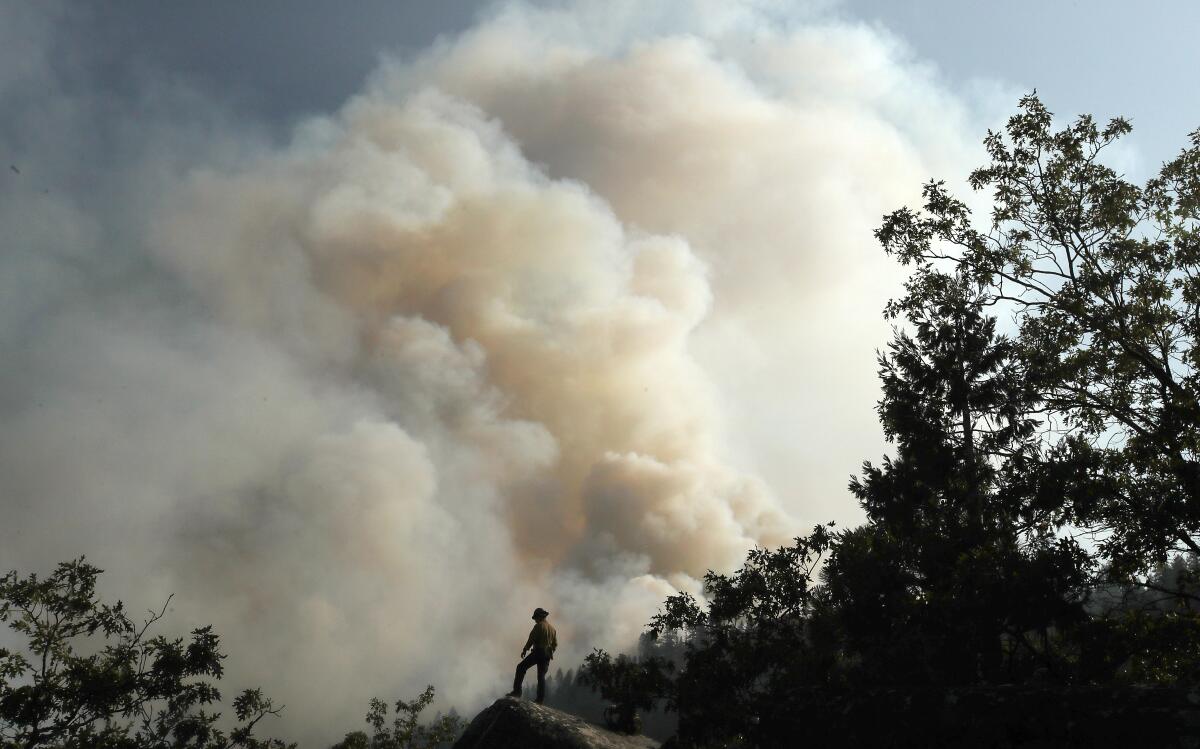 A firefighter is dwarfed by the plume of the Dixie fire