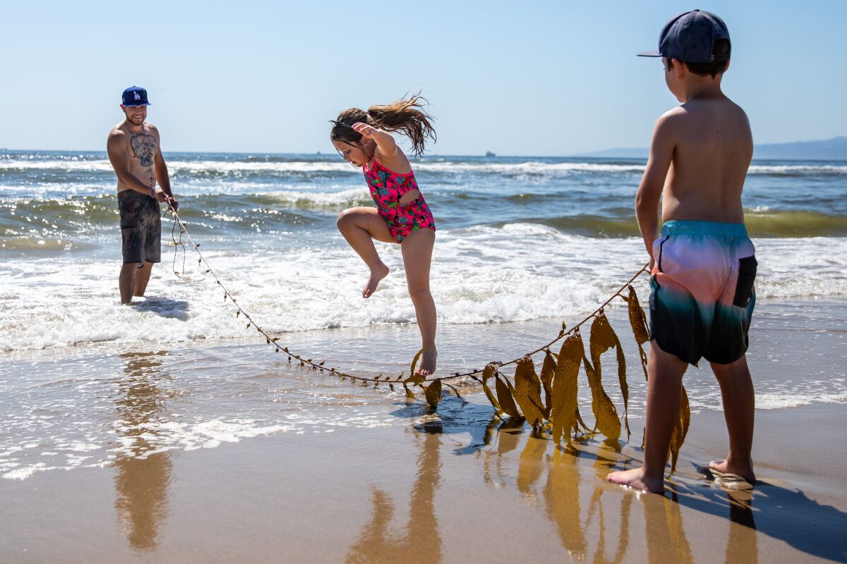 A man and a boy swing a strand of seaweed for a girl to play jump rope at Manhattan Beach