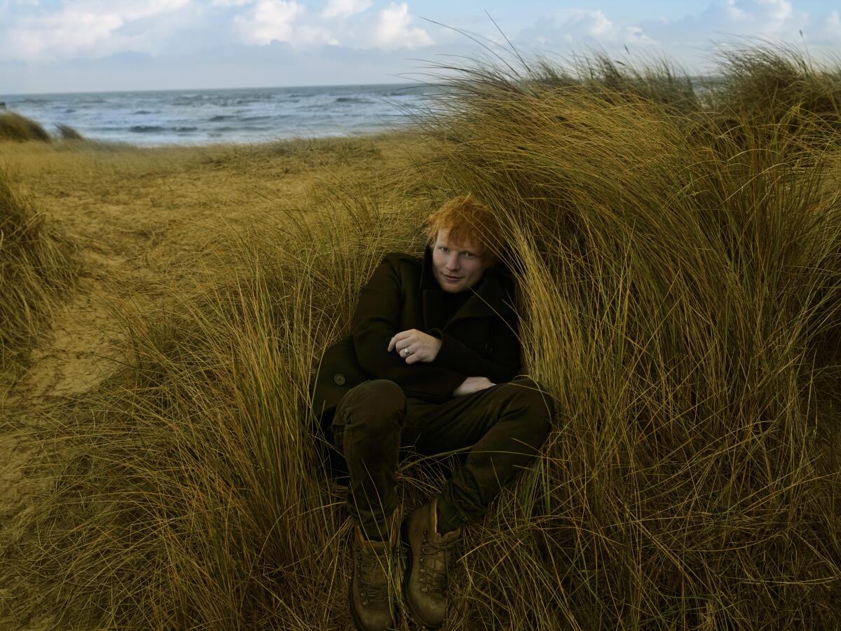 Ed Sheeran sitting in long grass