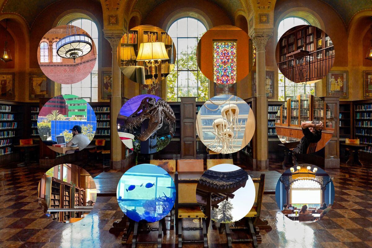 Photo montage of libraries in a circle grid
