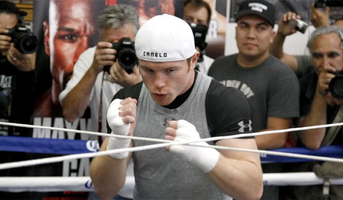 Saul "Canelo" Alvarez will fight fellow Mexican boxer Alfredo Angulo at the MGM Grand in Las Vegas on March 8.