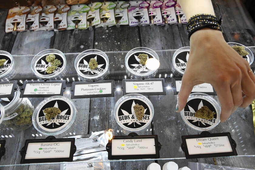 Different strains of marijuana are displayed at medical marijuana dispensary Buds and Roses in Studio City.
