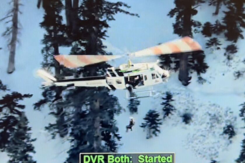 A helicopter hoists a man above a snowy mountain with trees. 
