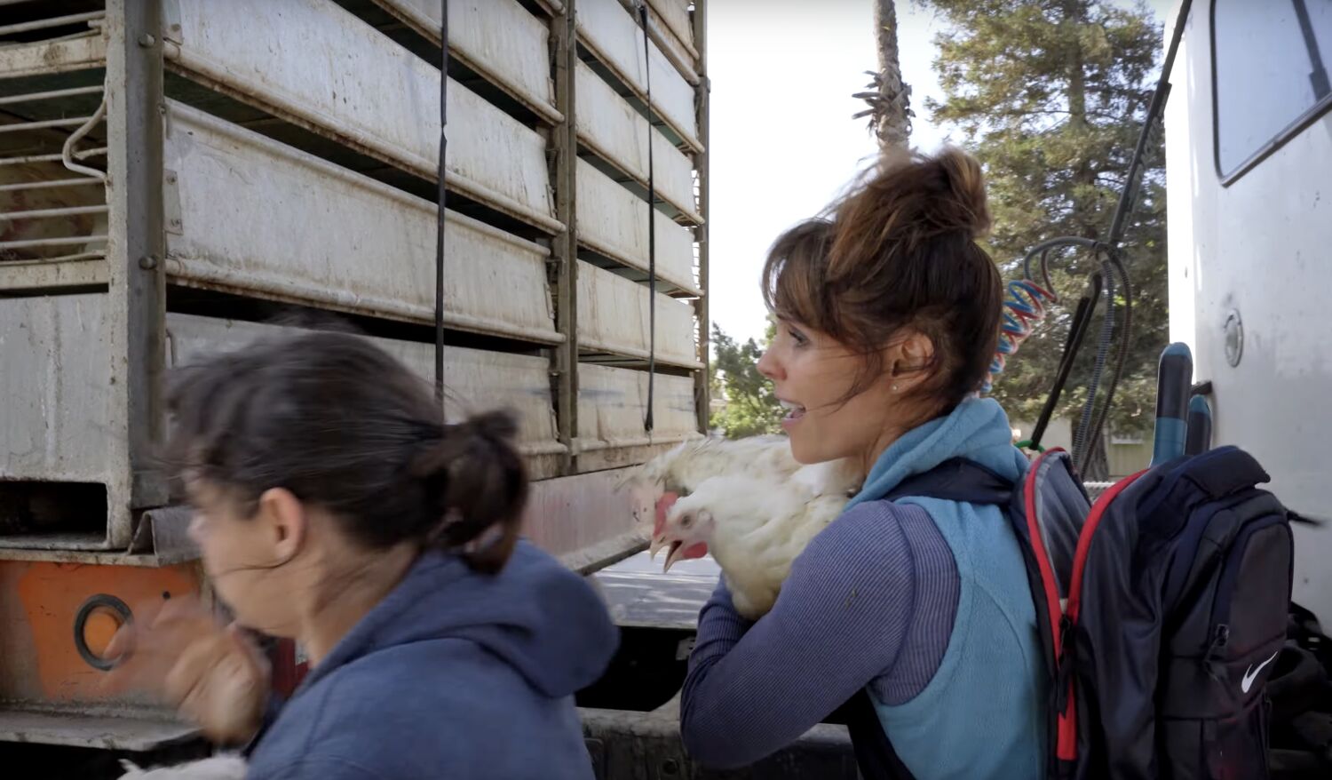 'Baywatch's' Alexandra Paul on trial; video shows 'open rescue' of Foster Farms chickens