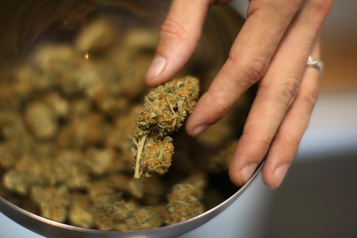 The U.S. Justice Department said that it wouldn't sue to challenge laws legalizing marijuana in 20 states.